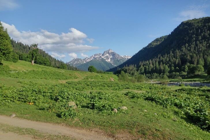 Alpenwiesen Abchasiens