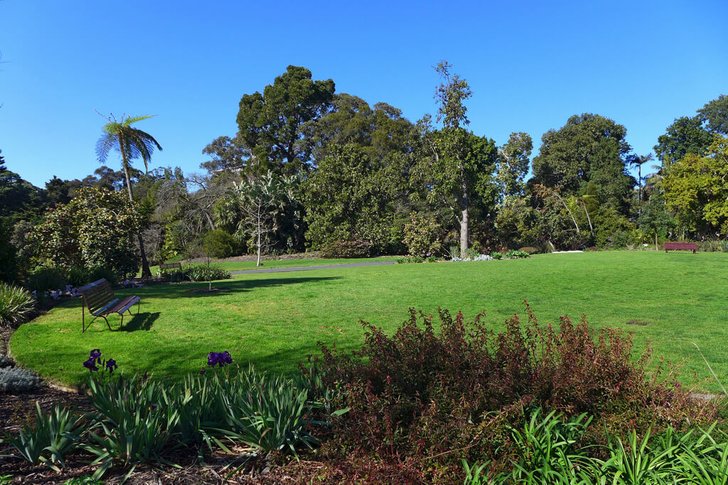 Królewskie Ogrody Botaniczne w Melbourne