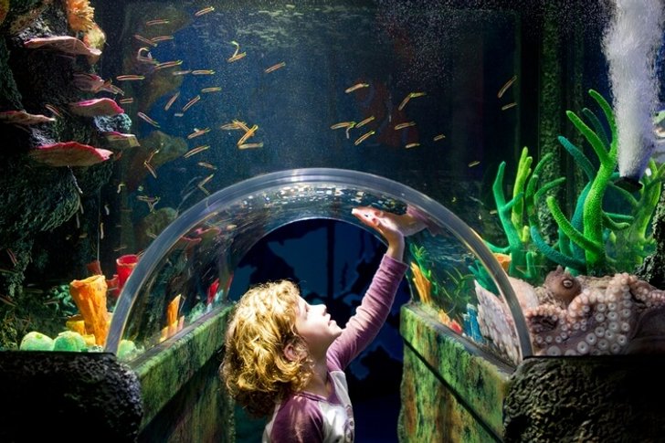 Aquarium de Melbourne