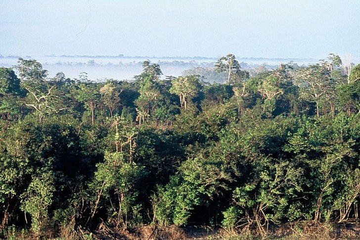 亚马逊热带雨林