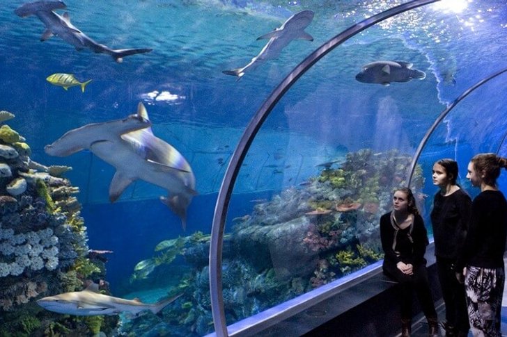 Nationales Aquarium von Dänemark