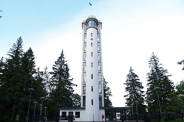Suur-Munamägi 观测塔