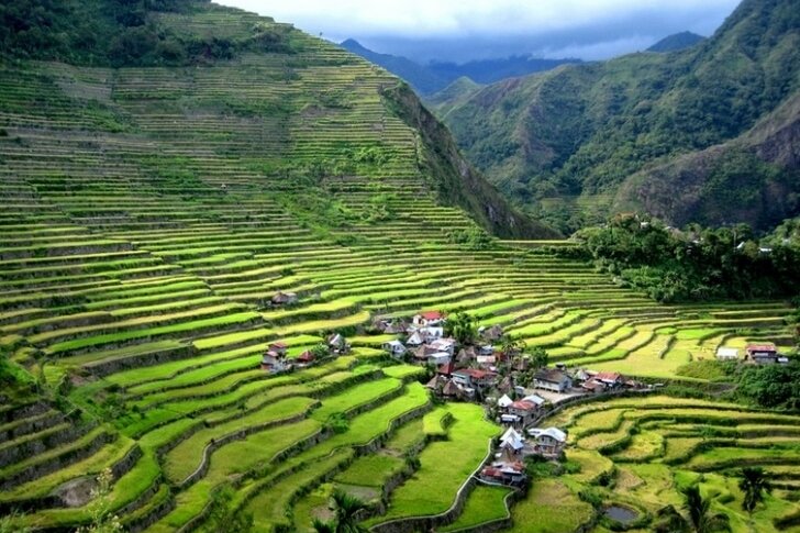 Terrazas de arroz en la Cordillera de Filipinas