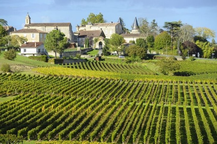 Wine tours and excursions in Bordeaux