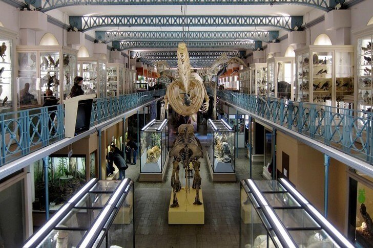Muzeum Historii Naturalnej w Lille