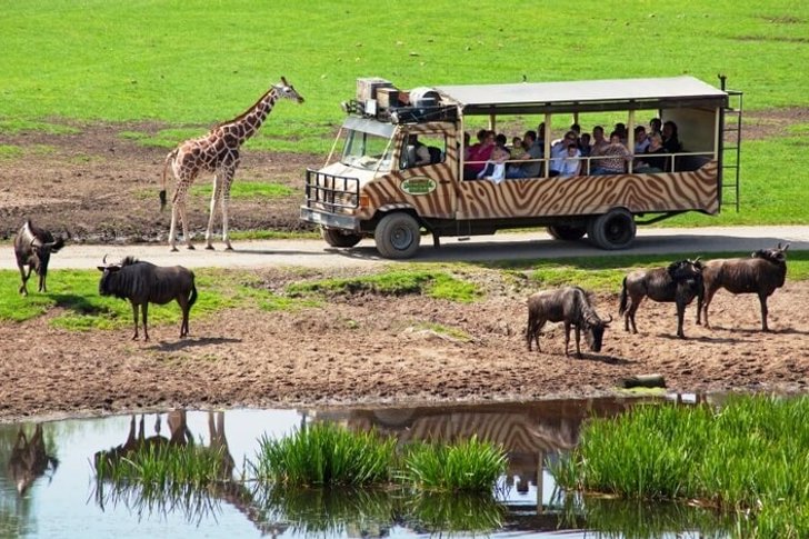Parc Serengeti