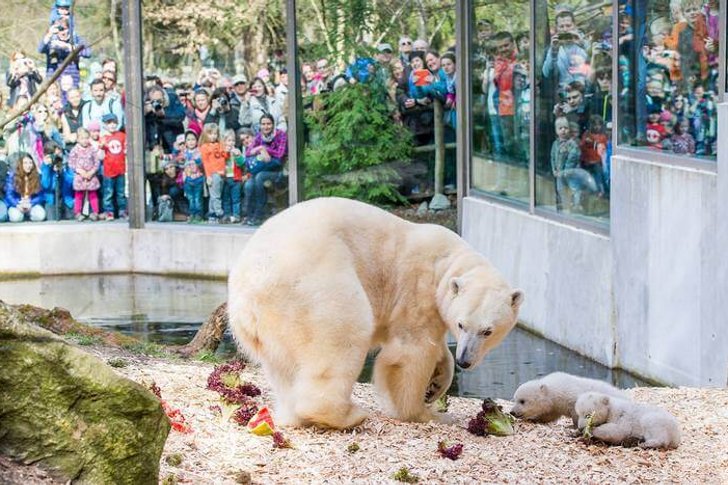 Zoo Hellabrunn de Munich