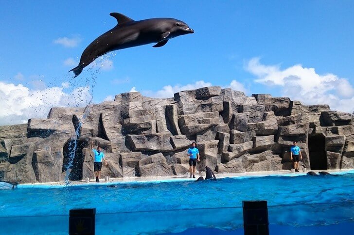 Dolphinarium de Batoumi