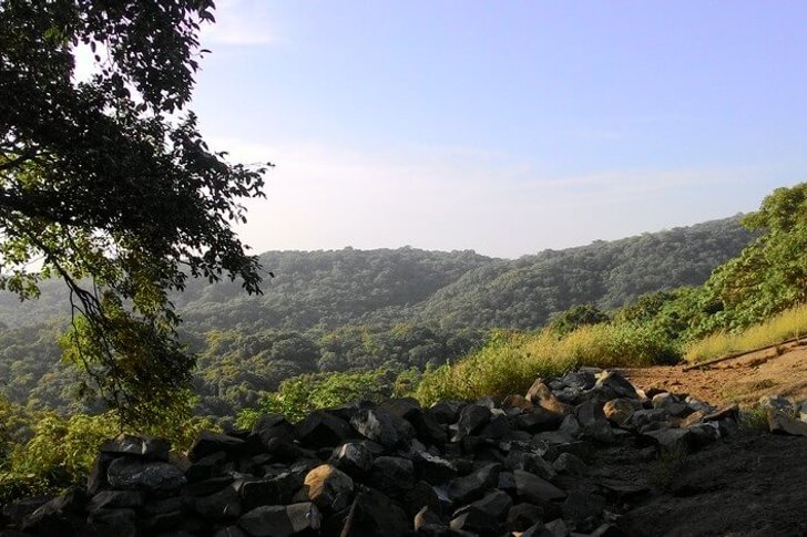 Parque Nacional Sanjay Gandhi