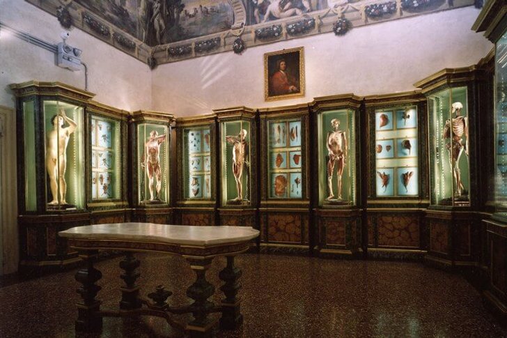 Muzeum Palazzo Poggi