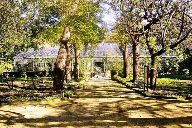 Ogród Botaniczny w Palermo