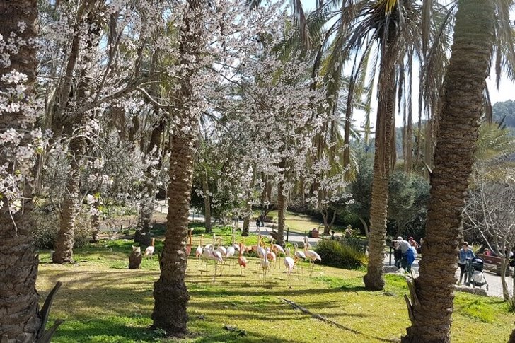 Zoo biblique de Jérusalem