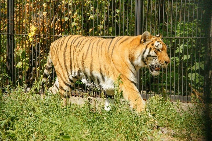 Almaty Zoo