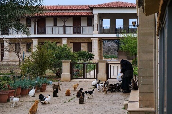 Mosteiro dos gatos de São Nicolau