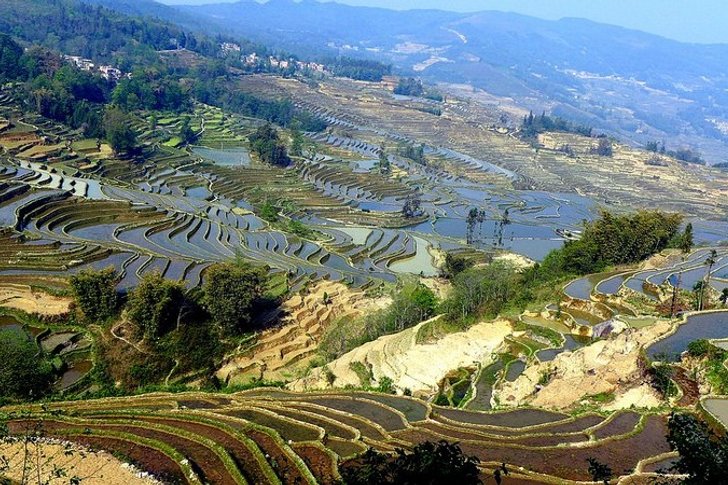 Terrazas de arroz Honghe Hani