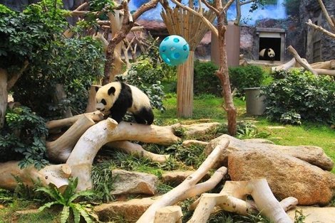 25 attractions populaires de Macao
