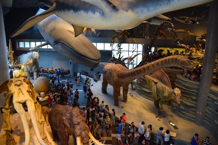 Shanghai natural history museum