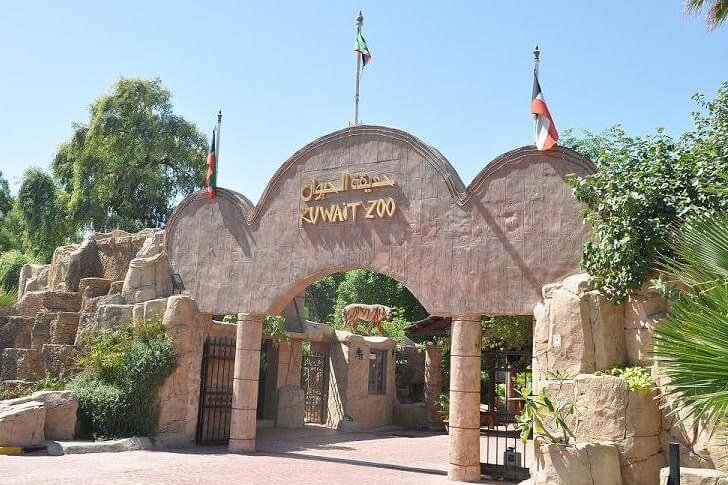 Zoo w Kuwejcie
