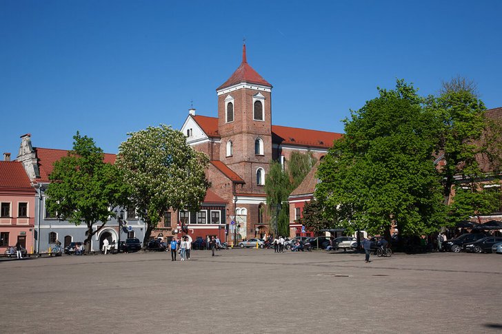 Catedral de los Santos Pedro y Pablo (Kaunas)