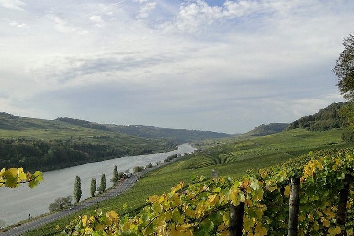Valley of the Moselle