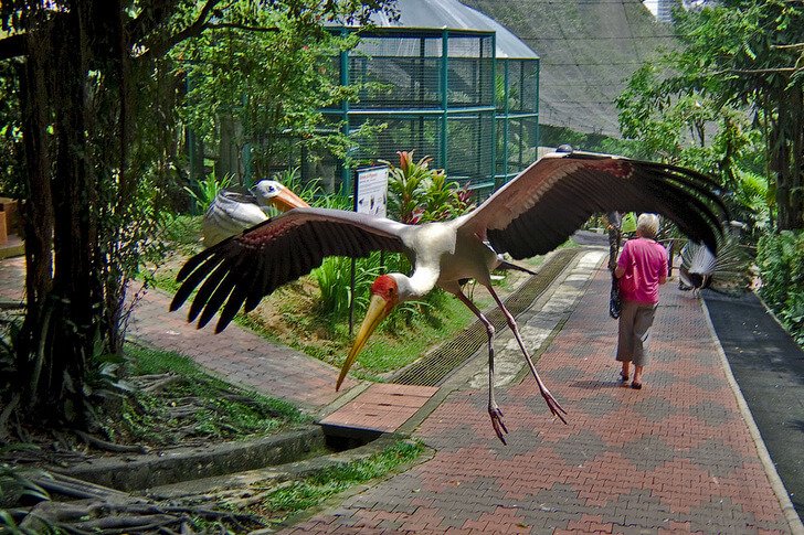 Parque de aves de Kuala Lumpur