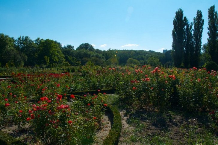 Кишиневский ботанический сад