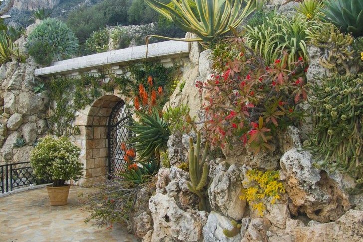 Ogród Botaniczny Monako
