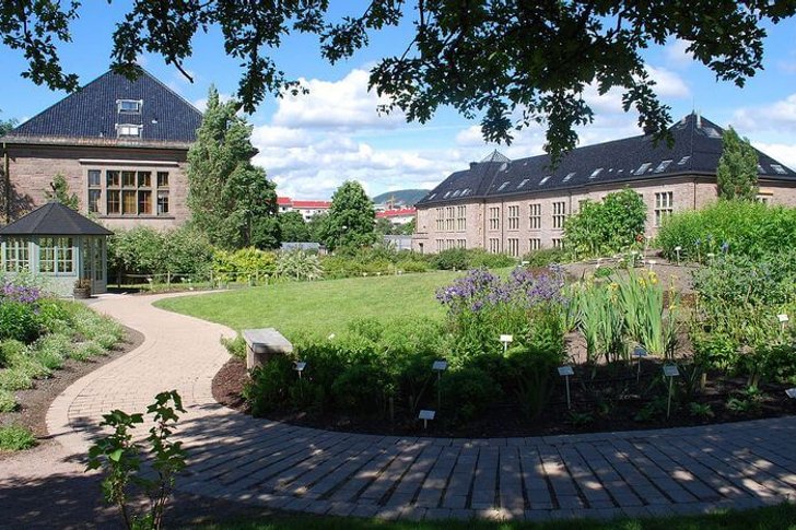Ogród Botaniczny w Oslo