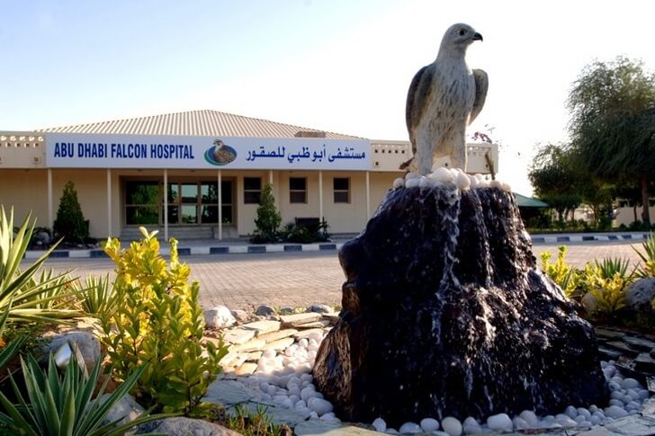Hôpital Falcon d'Abu Dhabi