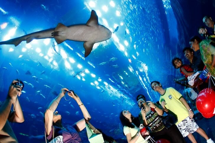 迪拜购物中心的水族馆