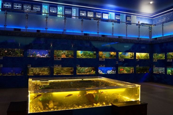 Aquarium huis