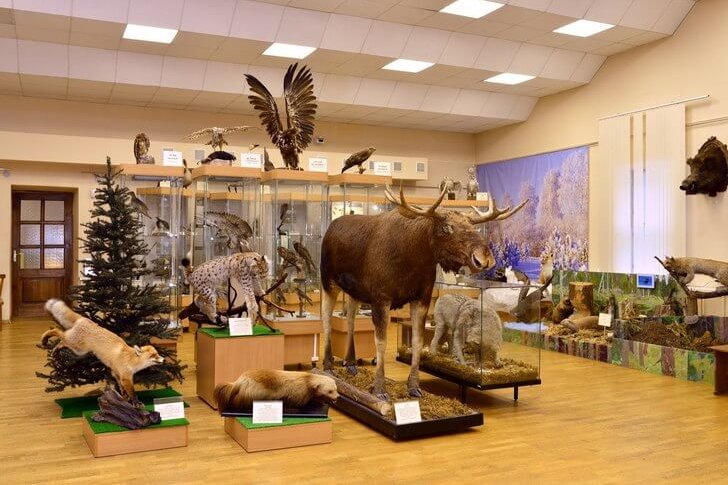พิพิธภัณฑ์ตำนานพื้นบ้านภูมิภาค Kirov