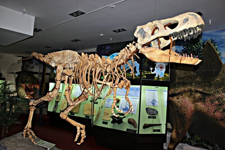 Museo Paleontológico de Vyatka