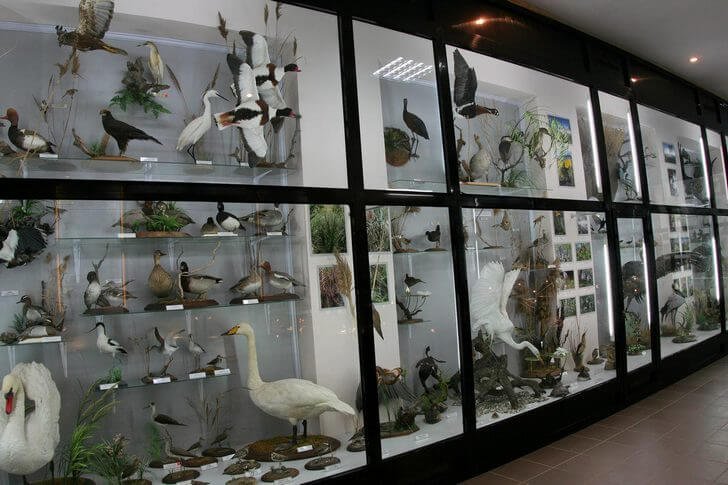 Musée de la nature de Karadag