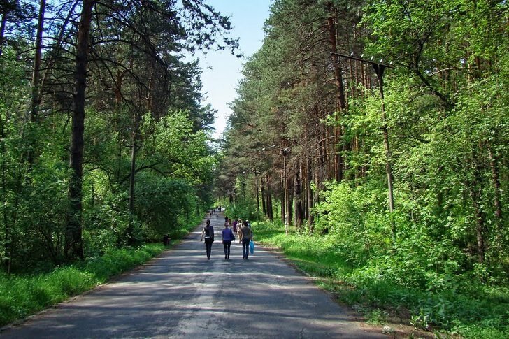 Zaeltsovsky Park