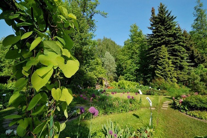 Botanical Garden of TVGU