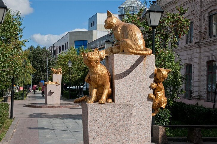 Square of Siberian cats