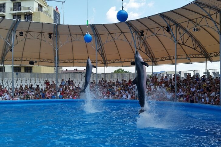 イルカ水族館