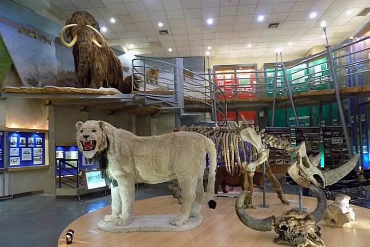 Mammoth museum