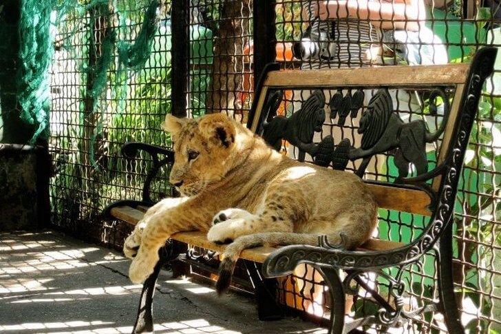 Zoo w Jałcie „Bajka”