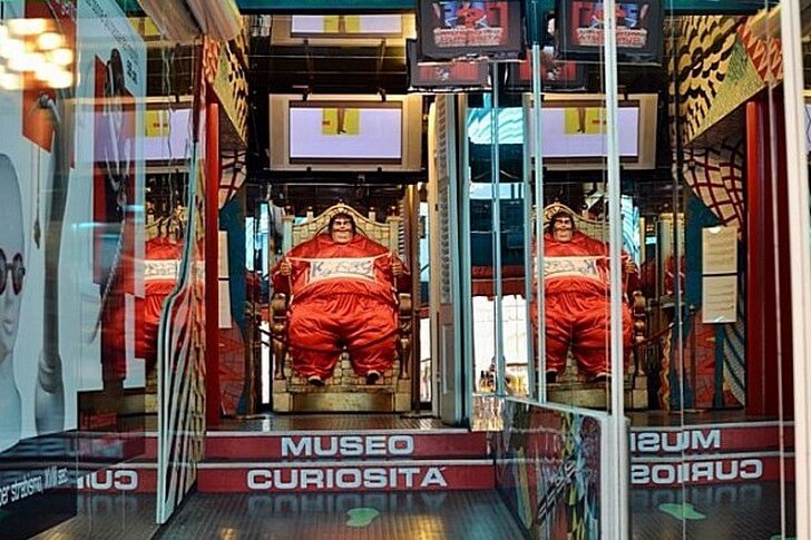 Museum of Curiosities