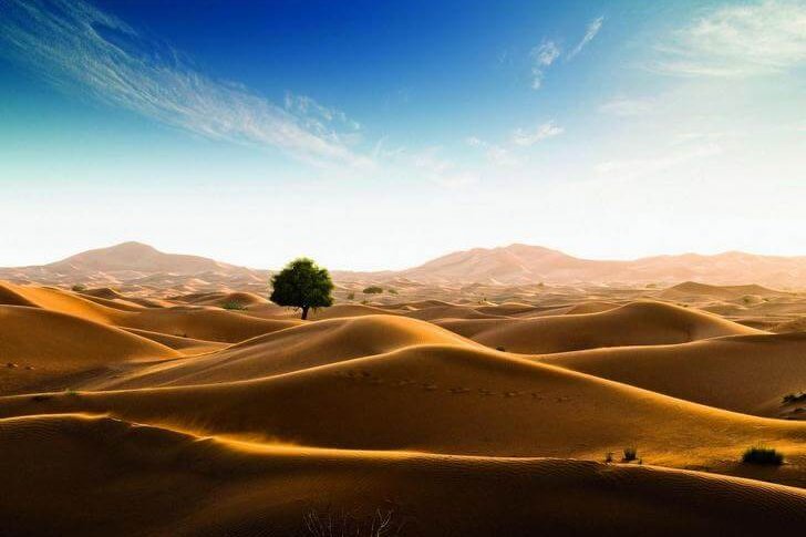 鲁卜哈利沙漠