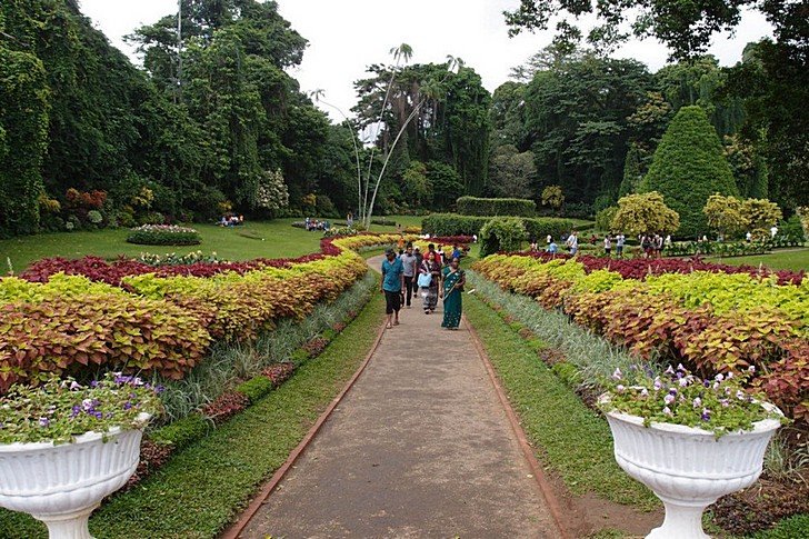 Королевские ботанические сады в Парадении