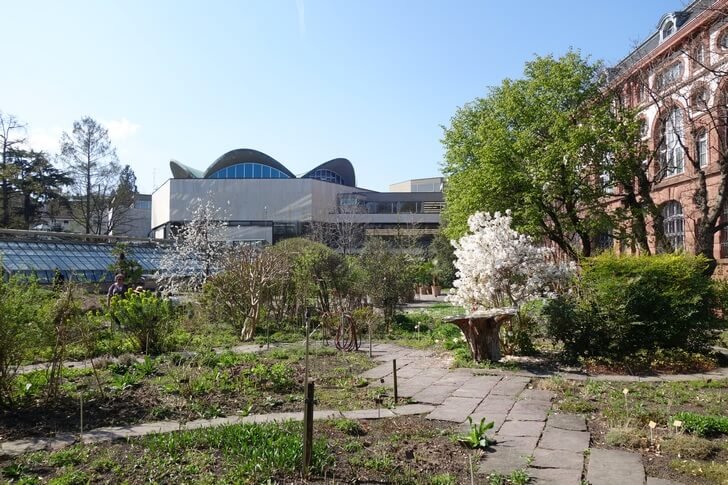 Jardín Botánico de la Universidad de Basilea