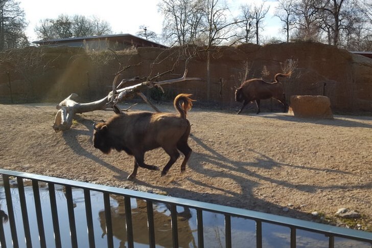 Zoo Lange Erlen