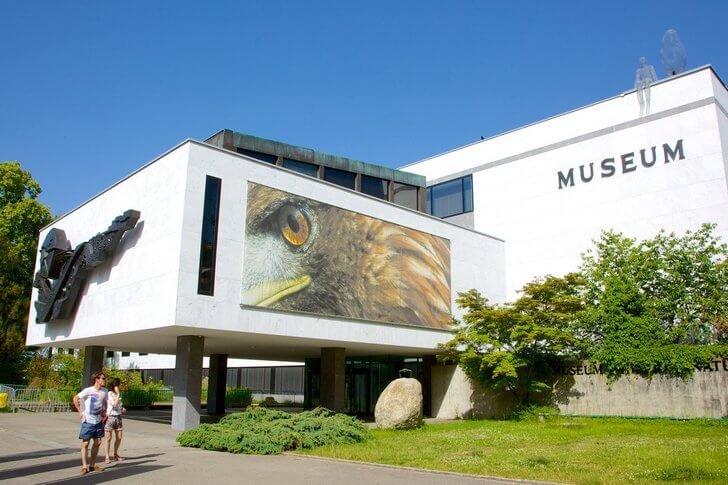 自然历史博物馆