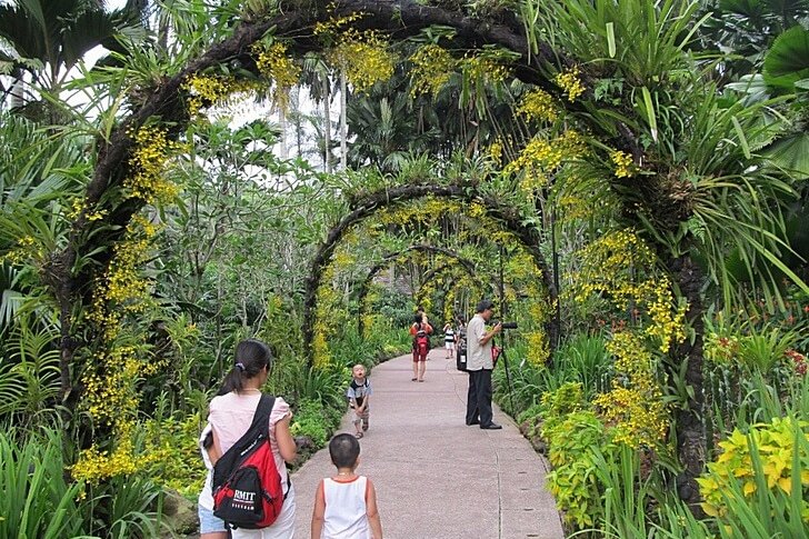 Singapore Botanische Tuin