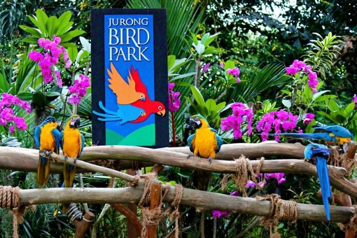 Parque dos Pássaros de Jurong