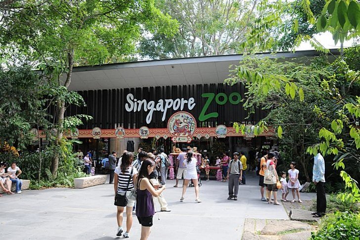Zoo di Singapore (Zoo di Singapore)