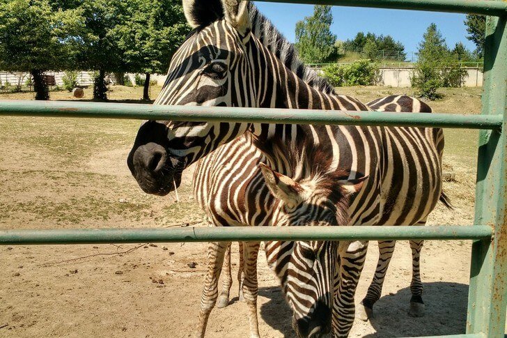 Zoo von Kosice